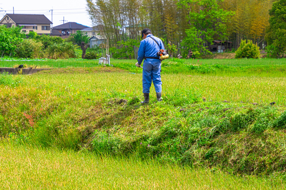 草刈・除草・伐採